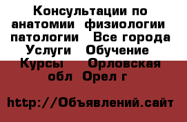 Консультации по анатомии, физиологии, патологии - Все города Услуги » Обучение. Курсы   . Орловская обл.,Орел г.